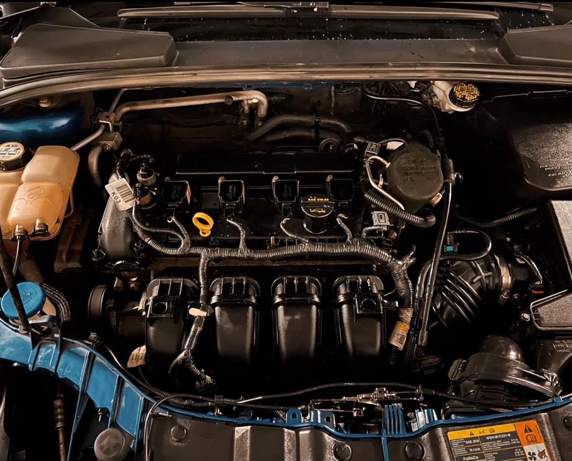 Engine bay degreased and detailed